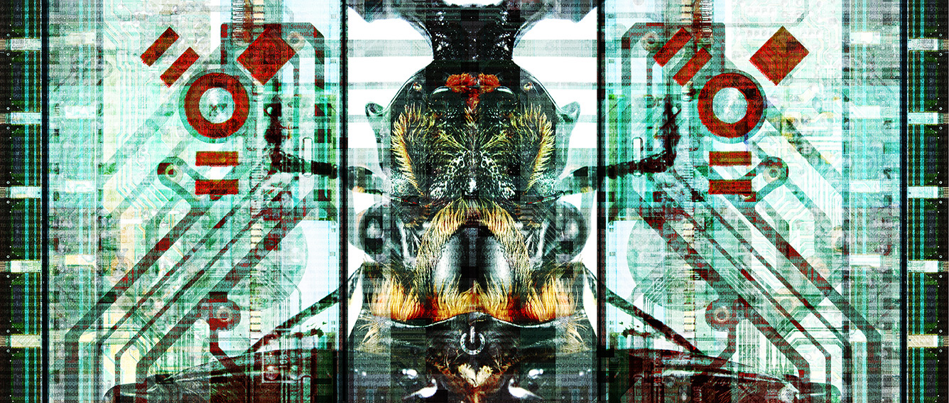 BUG IN THE SYSTEM Pierre-Emmanuel Chatiliez SPLIT SCREEN