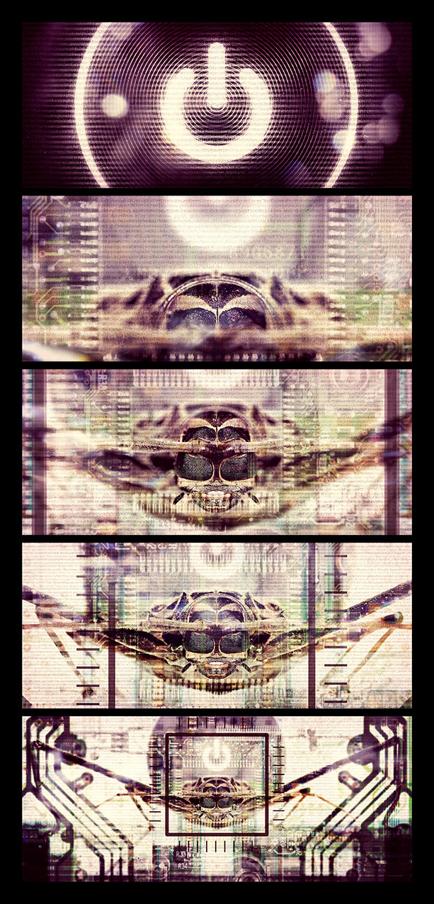 Bug in the system polyptyque - Pierre-Emmanuel Chatiliez SPLIT SCREEN