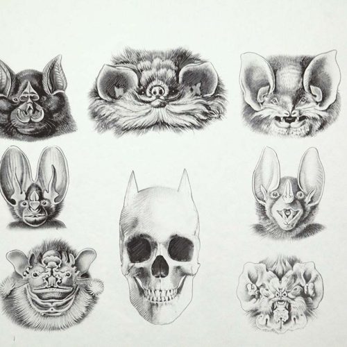 Batman_s skull - Fabrice Le Henanff