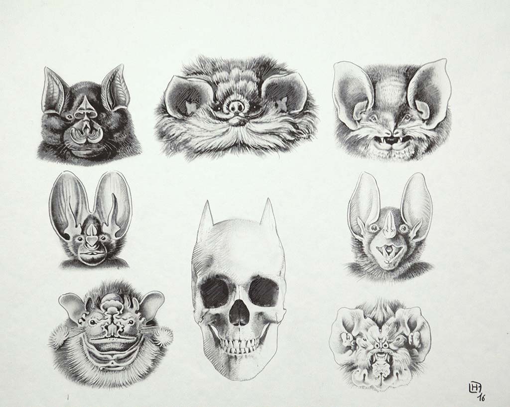 Batman_s skull - Fabrice Le Henanff
