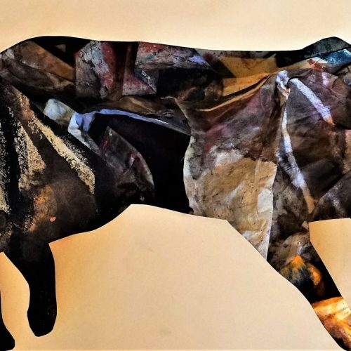 FOX STORY - MC Palombit