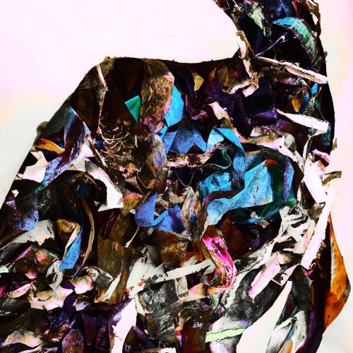 Eagle fall M.C Palombit