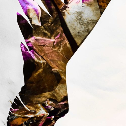 2018 Winged Landscape M.C Palombit