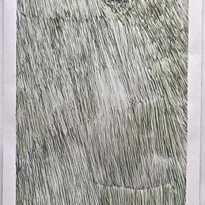 Herbes aquatiques", encre verte et terre de sienne, 75 x 210 cm, papier Canson, ©JeanChazy