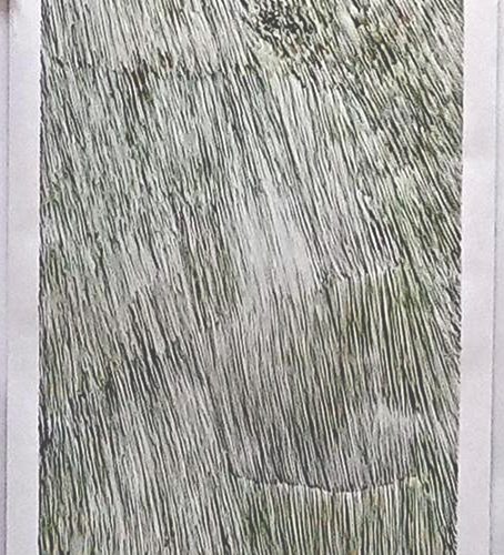 Herbes aquatiques", encre verte et terre de sienne, 75 x 210 cm, papier Canson, ©JeanChazy