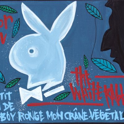 Le petit lapin de Playboy ronge mon crâne végétal - Tarek - Gainsbourg - Galerie JPHT - 0006
