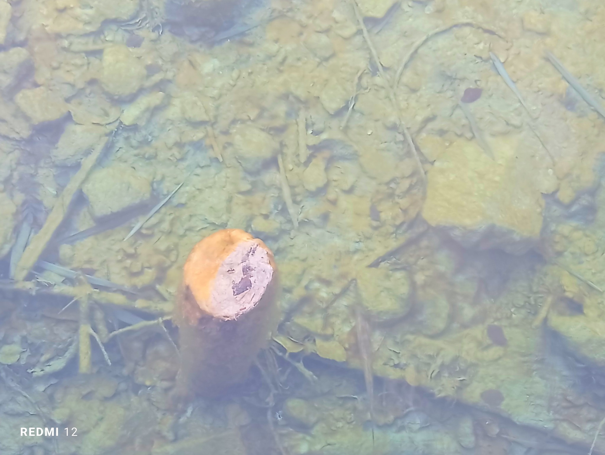 L'eau coulait glacée du lac gelé. Mais le pilier avait un tel scintillant rose... Et donc la vision a été créée... Un centre soul et apaisant dans le verre de la clarté qui coule... Une image si puissante, Le paysage qui me nourrit... Das Wasser floss eiskalt aus dem gefrorenen See. Doch der Pfeiler hatte so einen Rosa Schimmer... Und so entstand diese Vision.... Ein gefühlvolles und ruhendes Zentrum in der gläsernen fließenden Klarheit... So ein starkes Bild, Das aus der Landschaft mich nährt...