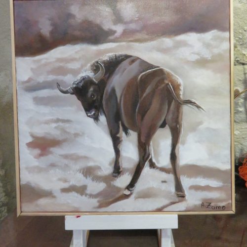 Bison Fâché - Anne Zamo - Artiste peintre
