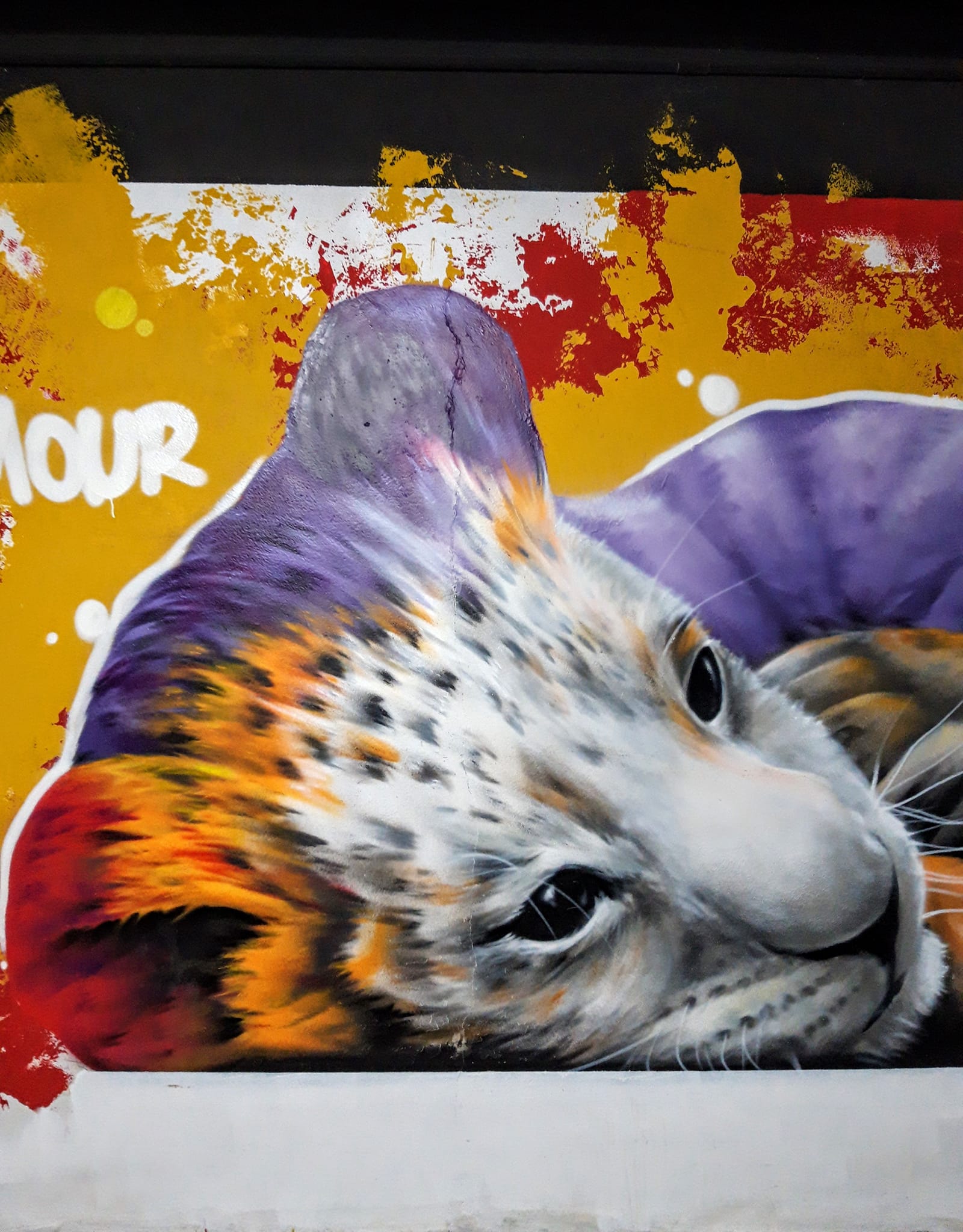 Pti clin d'oeil à la superbe et immense fresque de Creyone Centrentedeux Crey132 réalisée dans les sous-sols de L'hôpital Necker