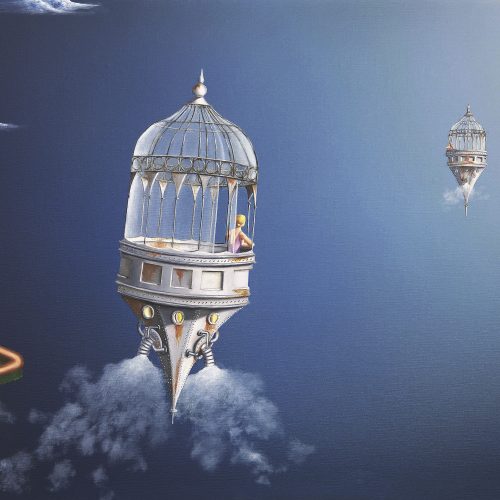 Thierry VAN Quickenborne - Et vient le temps de l'espace- Dibond 100 x 50 cm