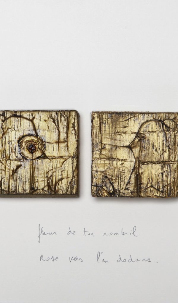 Fleur de ton nombril - Francis Coffinet technique mixte: deux blocs de bois sur carton, gravage acrylique, texte 40 X 27 cm