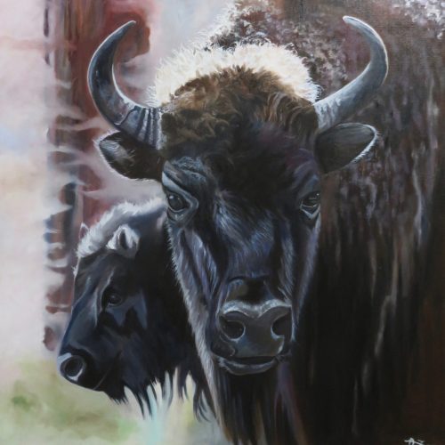 Jeu de pouvoir - Anne Zoma