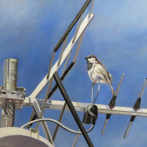 L’écoute - Anne Zamo