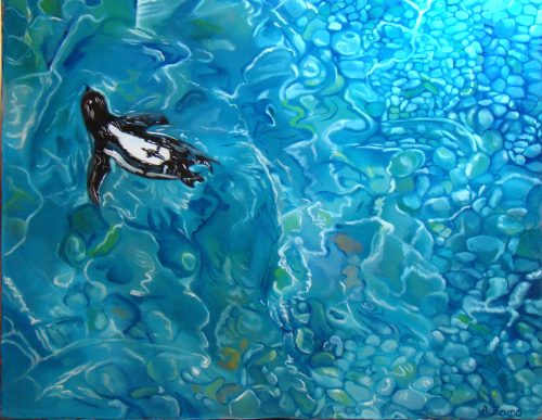 Manchot du cap - Anne Zamo - Artiste peintre