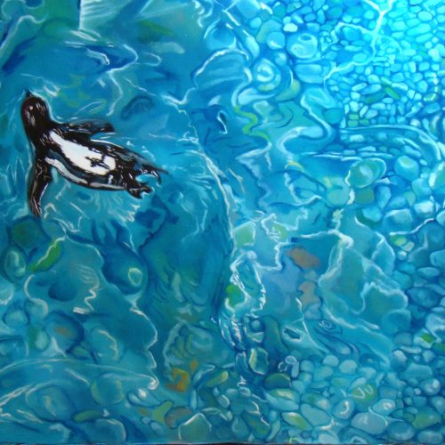 Manchot du cap - Anne Zamo - Artiste peintre