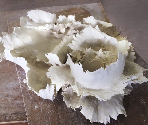 Ondes végétales - Agnès Bouche 5 x 27 x 19 cm