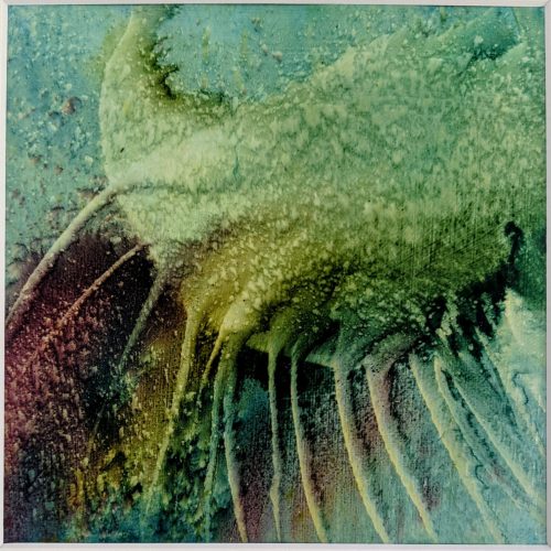 Inspiration végétale - Margot Issaly Inspiration végétale Peinture à l'huile au glacis sur papier aquarelle 20x20cm , sous Marie Louise 25x25cm