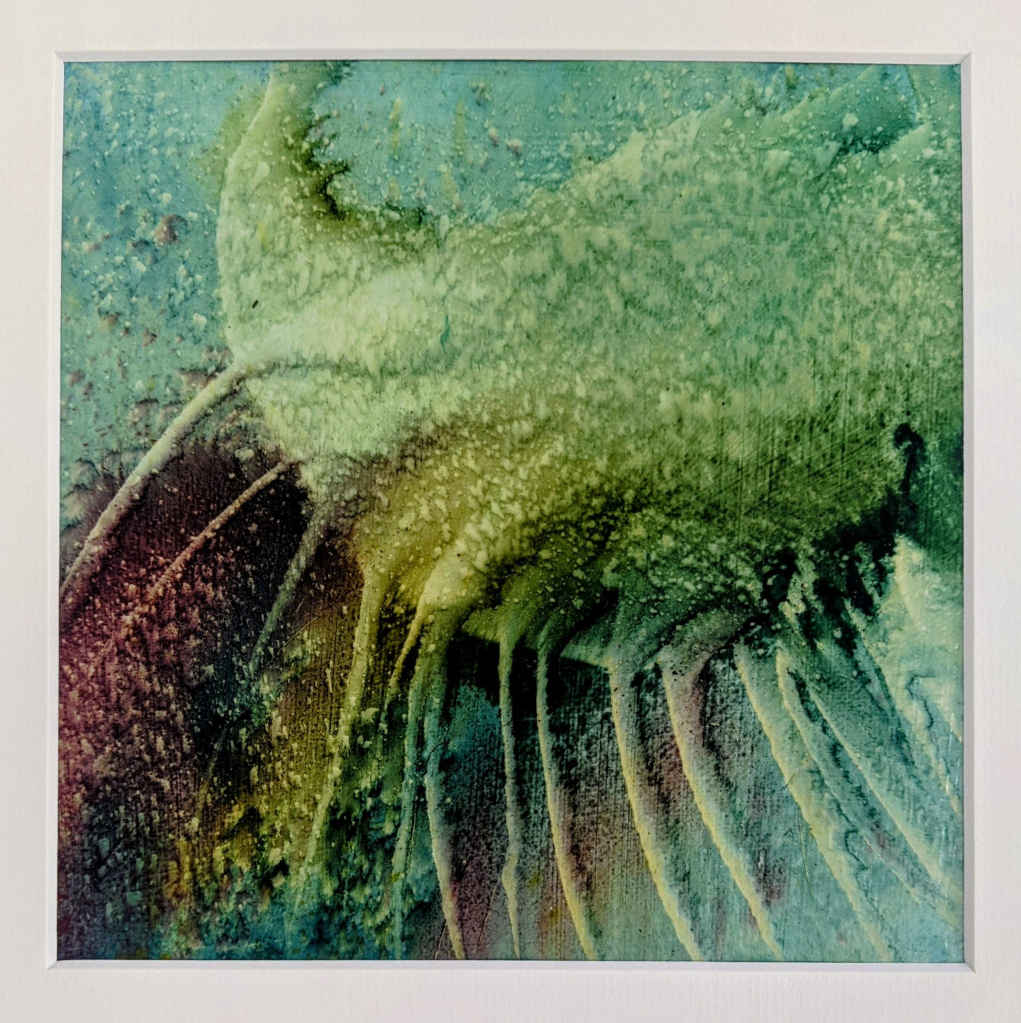 Inspiration végétale - Margot Issaly Inspiration végétale Peinture à l'huile au glacis sur papier aquarelle 20x20cm , sous Marie Louise 25x25cm