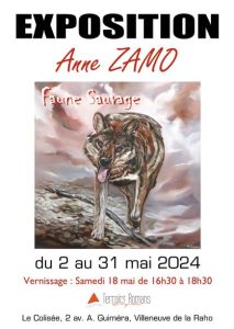 exposition Anne Zamo