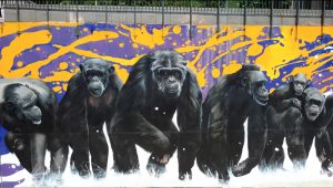 « Nous, EUX!!! » Des millions d’années d’évolution, et pourtant, ils ne connaissent toujours ni le mensonge, ni le mépris, ni l’ironie, ni l’hypocrisie, ni la trahison. À une époque où le monde moderne robotise à tout-va les relations humaines, ils peuvent être bien plus humains que les hommes.