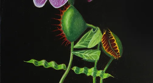 Querelle de fleurs - Christophe Stepan Durand artiste peintre