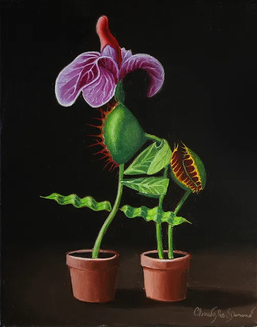 Querelle de fleurs - Christophe Stepan Durand artiste peintre